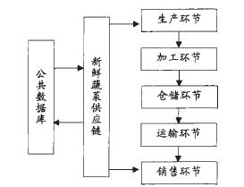 圖2 新鮮蔬菜供應(yīng)鏈